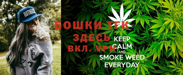 mix Бородино