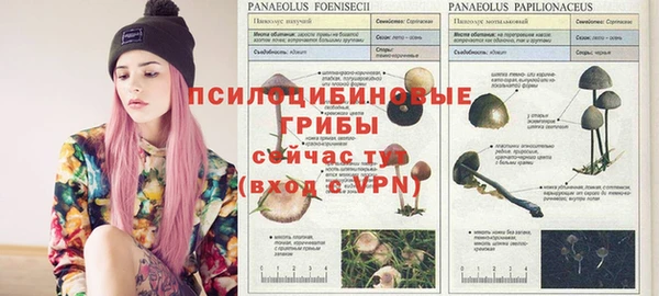 прущая мука Бугульма