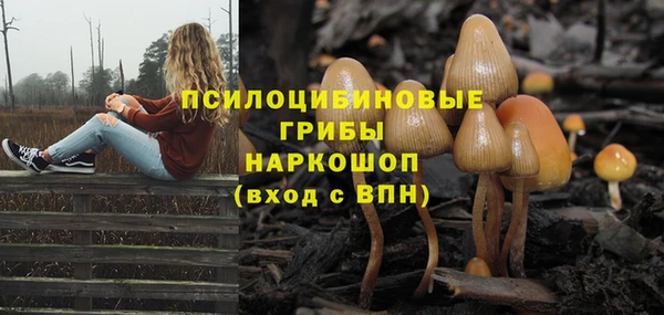 прущая мука Бугульма