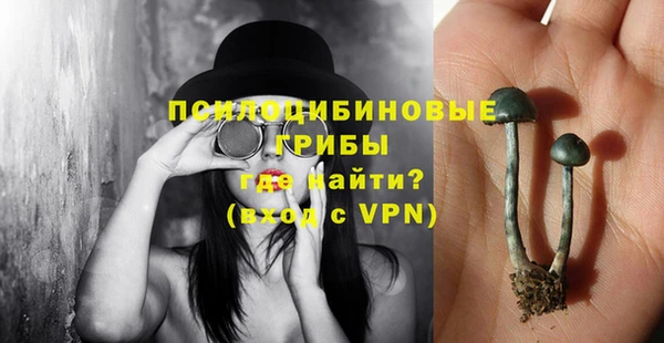 mix Бородино